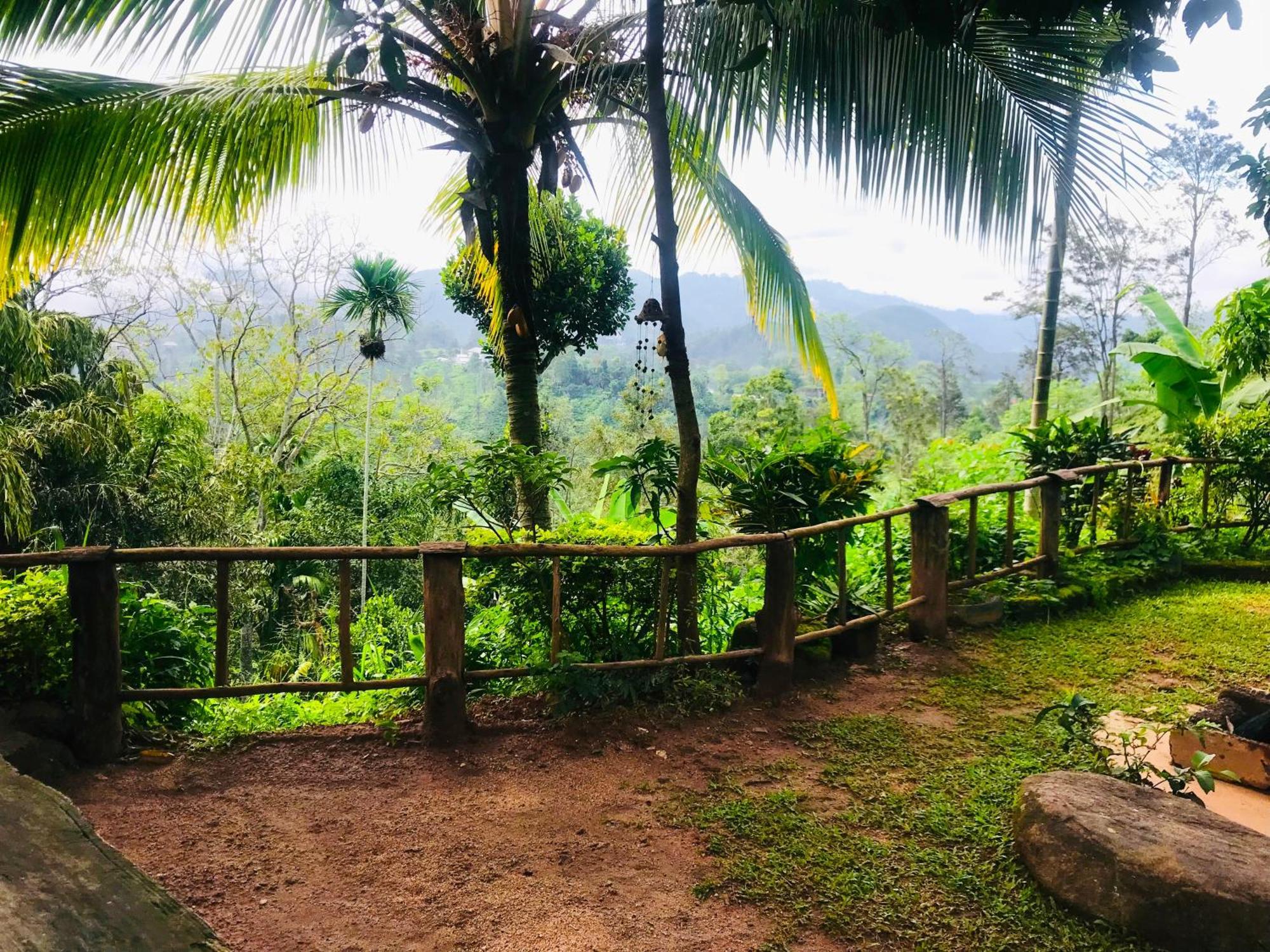 The 1964 Holiday Bungalow Ella Ngoại thất bức ảnh